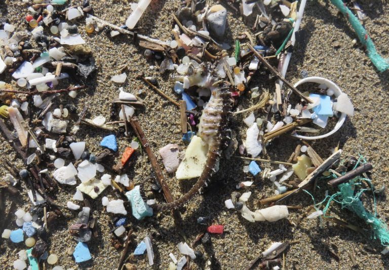 Tiny plastics, big problem. What we know about microplastic impacts - Fidra